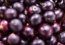 Acai Nedir? Acai’nin Faydaları Nelerdir? Acai, Güney Amerika kökenli, özellikle Brezilya yağmur ormanlarında yetişen morumsu bir meyvedir. Son yıllarda sağlık ve beslenme dünyasında popülerliği hızla artan Acai, yüksek besin değerleri ile dikkat çeker. Antioksidan bakımından zengin olan bu meyve, enerji verici ve bağışıklık sistemini destekleyici özellikleriyle öne çıkar. Taze veya dondurulmuş olarak tüketilebilen Acai, smoothie, meyve kaseleri ve sağlıklı atıştırmalıklar için sıkça tercih edilir. Konulu bir haber görseli.