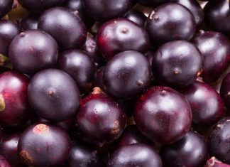 Acai, Güney Amerika kökenli, özellikle Brezilya yağmur ormanlarında yetişen morumsu bir meyvedir. Son yıllarda sağlık ve beslenme dünyasında popülerliği hızla artan Acai, yüksek besin değerleri ile dikkat çeker. Antioksidan bakımından zengin olan bu meyve, enerji verici ve bağışıklık sistemini destekleyici özellikleriyle öne çıkar. Taze veya dondurulmuş olarak tüketilebilen Acai, smoothie, meyve kaseleri ve sağlıklı atıştırmalıklar için sıkça tercih edilir. Konulu bir haber görseli.