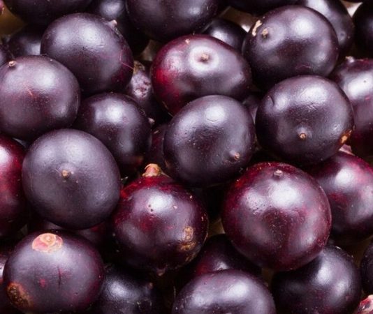 Acai, Güney Amerika kökenli, özellikle Brezilya yağmur ormanlarında yetişen morumsu bir meyvedir. Son yıllarda sağlık ve beslenme dünyasında popülerliği hızla artan Acai, yüksek besin değerleri ile dikkat çeker. Antioksidan bakımından zengin olan bu meyve, enerji verici ve bağışıklık sistemini destekleyici özellikleriyle öne çıkar. Taze veya dondurulmuş olarak tüketilebilen Acai, smoothie, meyve kaseleri ve sağlıklı atıştırmalıklar için sıkça tercih edilir. Konulu bir haber görseli.