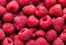 Ahududu Nedir? Ahududu’nun Faydaları Nelerdir? Yaz aylarının en sevilen meyvelerinden biri olan Ahududu, hem lezzeti hem de besin değeri ile dikkat çeken kırmızı renkli bir meyvedir. Tatlı ve hafif ekşimsi aroması sayesinde tatlılardan içeceklere kadar pek çok tarifte kullanılan bu özel meyve, aynı zamanda sağlık açısından sunduğu katkılarla da öne çıkar. Özellikle doğal beslenmeye önem verenlerin sıklıkla tercih ettiği Ahududu nedir sorusu, son yıllarda daha fazla araştırılmaya başlanmıştır. Konulu bir haber görseli.