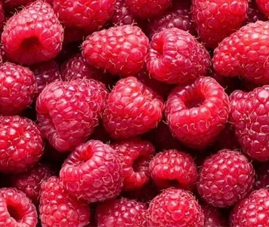 Yaz aylarının en sevilen meyvelerinden biri olan Ahududu, hem lezzeti hem de besin değeri ile dikkat çeken kırmızı renkli bir meyvedir. Tatlı ve hafif ekşimsi aroması sayesinde tatlılardan içeceklere kadar pek çok tarifte kullanılan bu özel meyve, aynı zamanda sağlık açısından sunduğu katkılarla da öne çıkar. Özellikle doğal beslenmeye önem verenlerin sıklıkla tercih ettiği Ahududu nedir sorusu, son yıllarda daha fazla araştırılmaya başlanmıştır. Konulu bir haber görseli.