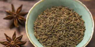 Doğal bitkiler arasında kendine özgü kokusu ve aromasıyla öne çıkan Anason, hem mutfaklarda hem de bitkisel çay kültüründe önemli bir yere sahiptir. Özellikle hafif tatlı ve ferahlatıcı tadı sayesinde farklı alanlarda kullanılan bu bitki, yüzyıllardır geleneksel yöntemlerle değerlendirilmektedir. Peki, Anason nedir ve neden bu kadar yaygın şekilde tüketilmektedir? Konulu bir haber görseli.