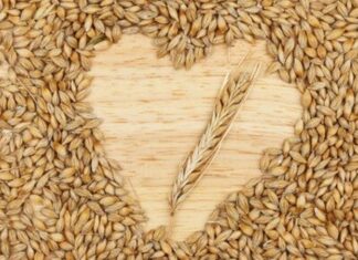 Arpa Nedir? Arpa’nın Faydaları Nelerdir? Tarihin en eski tahıllarından biri olan arpa, hem insan beslenmesinde hem de hayvancılıkta önemli bir yere sahiptir. Anadolu’da yüzyıllardır yetiştirilen ve tüketilen arpa, dayanıklı yapısı sayesinde farklı iklim koşullarında üretilebilen değerli bir tahıldır. Günümüzde çorbalardan salatalara, ekmek yapımından içecek üretimine kadar pek çok alanda kullanılmaktadır. Yüksek besin değeri ile dikkat çeken bu tahıl, sağlıklı yaşamı destekleyen doğal bir kaynak olarak öne çıkar. Konulu bir haber görseli.