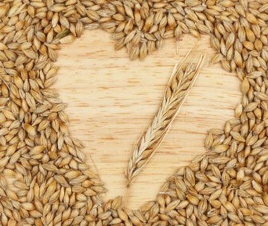 Arpa Nedir? Arpa’nın Faydaları Nelerdir? Tarihin en eski tahıllarından biri olan arpa, hem insan beslenmesinde hem de hayvancılıkta önemli bir yere sahiptir. Anadolu’da yüzyıllardır yetiştirilen ve tüketilen arpa, dayanıklı yapısı sayesinde farklı iklim koşullarında üretilebilen değerli bir tahıldır. Günümüzde çorbalardan salatalara, ekmek yapımından içecek üretimine kadar pek çok alanda kullanılmaktadır. Yüksek besin değeri ile dikkat çeken bu tahıl, sağlıklı yaşamı destekleyen doğal bir kaynak olarak öne çıkar. Konulu bir haber görseli.