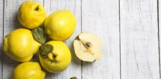 Ayva Nedir? Ayva’nın Faydaları Nelerdir? Sonbahar aylarının kendine özgü kokusuyla hatırlanan Ayva, hem geleneksel mutfakta hem de doğal beslenme alışkanlıklarında önemli bir yere sahiptir. Sert yapısı ve mayhoş tadıyla dikkat çeken bu meyve, pişirilerek ya da çiğ olarak tüketilebilmektedir. Özellikle komposto ve tatlı tariflerinde sıkça kullanılan Ayva, besin değeri açısından da oldukça zengindir. Bu nedenle Ayva nedir ve sağlığa ne gibi katkılar sunar sorusu sıkça araştırılmaktadır. Konulu bir haber görseli.