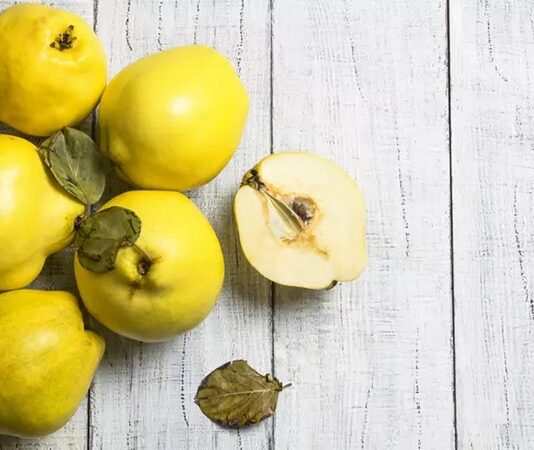 Sonbahar aylarının kendine özgü kokusuyla hatırlanan Ayva, hem geleneksel mutfakta hem de doğal beslenme alışkanlıklarında önemli bir yere sahiptir. Sert yapısı ve mayhoş tadıyla dikkat çeken bu meyve, pişirilerek ya da çiğ olarak tüketilebilmektedir. Özellikle komposto ve tatlı tariflerinde sıkça kullanılan Ayva, besin değeri açısından da oldukça zengindir. Bu nedenle Ayva nedir ve sağlığa ne gibi katkılar sunar sorusu sıkça araştırılmaktadır. Konulu bir haber görseli.