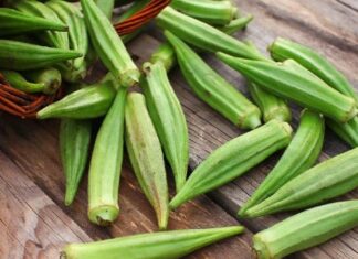 Yaz aylarının sevilen sebzelerinden biri olan bamya, hem geleneksel mutfakta hem de sağlıklı beslenme programlarında önemli bir yere sahiptir. Kendine özgü dokusu ve hafif aromasıyla bilinen bamya, özellikle zeytinyağlı yemekler ve çorbalarda sıkça tercih edilir. Küçük ve yeşil kapsüller halinde olan bu sebze, içerdiği zengin besin değeri sayesinde dikkat çeker. Konulu bir haber görseli.