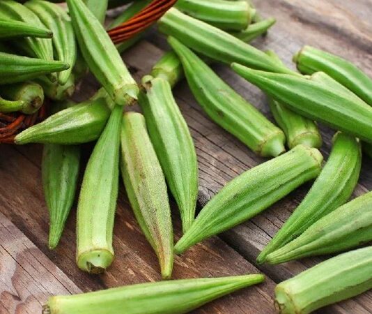Yaz aylarının sevilen sebzelerinden biri olan bamya, hem geleneksel mutfakta hem de sağlıklı beslenme programlarında önemli bir yere sahiptir. Kendine özgü dokusu ve hafif aromasıyla bilinen bamya, özellikle zeytinyağlı yemekler ve çorbalarda sıkça tercih edilir. Küçük ve yeşil kapsüller halinde olan bu sebze, içerdiği zengin besin değeri sayesinde dikkat çeker. Konulu bir haber görseli.