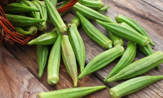 Yaz aylarının sevilen sebzelerinden biri olan bamya, hem geleneksel mutfakta hem de sağlıklı beslenme programlarında önemli bir yere sahiptir. Kendine özgü dokusu ve hafif aromasıyla bilinen bamya, özellikle zeytinyağlı yemekler ve çorbalarda sıkça tercih edilir. Küçük ve yeşil kapsüller halinde olan bu sebze, içerdiği zengin besin değeri sayesinde dikkat çeker. Konulu bir haber görseli.