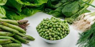 İlkbahar aylarının en sevilen sebzelerinden biri olan bezelye, hem lezzeti hem de zengin besin değeri ile sofralarda önemli bir yer tutar. Taze tüketildiğinde hafif tatlı aromasıyla dikkat çeken bezelye, yemeklerden salatalara kadar pek çok tarifte kullanılabilir. Küçük ve yuvarlak taneleriyle bilinen bu sebze, sağlıklı beslenme programlarının da vazgeçilmezleri arasında yer alır. Konulu bir haber görseli.