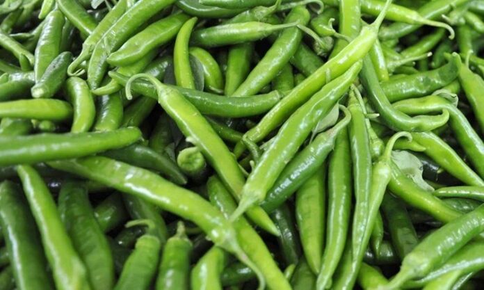 Sofraların vazgeçilmez sebzelerinden biri olan biber, farklı renk ve tat seçenekleriyle mutfak kültürünün önemli bir parçasıdır. Tatlı, acı, dolmalık ya da sivri gibi birçok çeşidi bulunan biber, hem çiğ hem de pişmiş olarak tüketilebilir. Salatalardan yemeklere, kahvaltılıklardan mezeler ve soslara kadar geniş bir kullanım alanına sahiptir. Konulu bir haber görseli