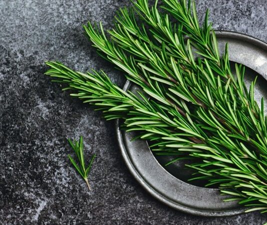 Doğal bitkiler hem mutfakta hem de sağlık alanında uzun yıllardır önemli bir yere sahiptir. Bu bitkiler arasında öne çıkanlardan biri de Biberiye olarak bilinir. Keskin kokusu, yoğun aroması ve şifa amaçlı kullanımıyla dikkat çeken bu bitki, özellikle Akdeniz kültürünün vazgeçilmezleri arasında yer alır. Peki, Biberiye nedir ve neden bu kadar yaygın şekilde tercih edilmektedir? Konulu bir haber görseli.