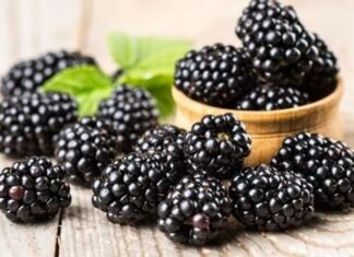 Yaz aylarının en sevilen orman meyvelerinden biri olan Böğürtlen, kendine has aroması ve yoğun rengiyle dikkat çeker. Hem taze tüketilebilen hem de reçel, marmelat ve tatlı yapımında kullanılan bu özel meyve, sağlık açısından sunduğu katkılarla da öne çıkar. Son yıllarda doğal beslenmeye olan ilginin artmasıyla birlikte Böğürtlen nedir ve hangi özelliklere sahiptir soruları daha sık araştırılmaktadır. Konulu bir haber görseli.