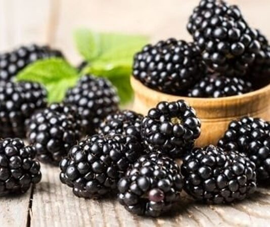 Yaz aylarının en sevilen orman meyvelerinden biri olan Böğürtlen, kendine has aroması ve yoğun rengiyle dikkat çeker. Hem taze tüketilebilen hem de reçel, marmelat ve tatlı yapımında kullanılan bu özel meyve, sağlık açısından sunduğu katkılarla da öne çıkar. Son yıllarda doğal beslenmeye olan ilginin artmasıyla birlikte Böğürtlen nedir ve hangi özelliklere sahiptir soruları daha sık araştırılmaktadır. Konulu bir haber görseli.