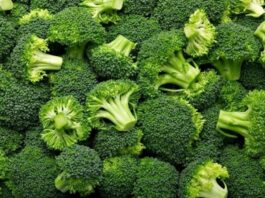 Son yıllarda sağlıklı beslenme denildiğinde akla ilk gelen sebzelerden biri olan brokoli, koyu yeşil rengi ve ağaç formunu andıran yapısıyla dikkat çeker. Turpgiller familyasına ait olan brokoli, hem haşlanarak hem buharda pişirilerek hem de fırınlanarak tüketilebilir. Hafif aroması sayesinde salatalardan ana yemeklere kadar pek çok tarifte kendine yer bulur. Düşük kalorili yapısı ve zengin besin değeri, onu diyet listelerinin vazgeçilmezlerinden biri haline getirmiştir. Konulu bir haber görseli.