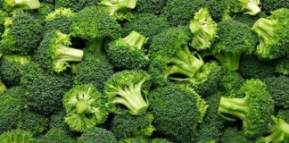 Son yıllarda sağlıklı beslenme denildiğinde akla ilk gelen sebzelerden biri olan brokoli, koyu yeşil rengi ve ağaç formunu andıran yapısıyla dikkat çeker. Turpgiller familyasına ait olan brokoli, hem haşlanarak hem buharda pişirilerek hem de fırınlanarak tüketilebilir. Hafif aroması sayesinde salatalardan ana yemeklere kadar pek çok tarifte kendine yer bulur. Düşük kalorili yapısı ve zengin besin değeri, onu diyet listelerinin vazgeçilmezlerinden biri haline getirmiştir. Konulu bir haber görseli.