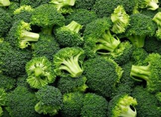 Son yıllarda sağlıklı beslenme denildiğinde akla ilk gelen sebzelerden biri olan brokoli, koyu yeşil rengi ve ağaç formunu andıran yapısıyla dikkat çeker. Turpgiller familyasına ait olan brokoli, hem haşlanarak hem buharda pişirilerek hem de fırınlanarak tüketilebilir. Hafif aroması sayesinde salatalardan ana yemeklere kadar pek çok tarifte kendine yer bulur. Düşük kalorili yapısı ve zengin besin değeri, onu diyet listelerinin vazgeçilmezlerinden biri haline getirmiştir. Konulu bir haber görseli.