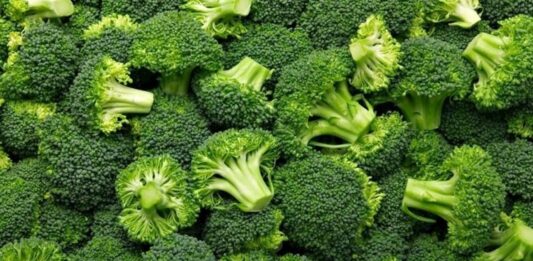 Brokoli Nedir? Brokoli’nin Faydaları Nelerdir? Son yıllarda sağlıklı beslenme denildiğinde akla ilk gelen sebzelerden biri olan brokoli, koyu yeşil rengi ve ağaç formunu andıran yapısıyla dikkat çeker. Turpgiller familyasına ait olan brokoli, hem haşlanarak hem buharda pişirilerek hem de fırınlanarak tüketilebilir. Hafif aroması sayesinde salatalardan ana yemeklere kadar pek çok tarifte kendine yer bulur. Düşük kalorili yapısı ve zengin besin değeri, onu diyet listelerinin vazgeçilmezlerinden biri haline getirmiştir. Konulu bir haber görseli.