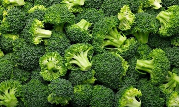 Son yıllarda sağlıklı beslenme denildiğinde akla ilk gelen sebzelerden biri olan brokoli, koyu yeşil rengi ve ağaç formunu andıran yapısıyla dikkat çeker. Turpgiller familyasına ait olan brokoli, hem haşlanarak hem buharda pişirilerek hem de fırınlanarak tüketilebilir. Hafif aroması sayesinde salatalardan ana yemeklere kadar pek çok tarifte kendine yer bulur. Düşük kalorili yapısı ve zengin besin değeri, onu diyet listelerinin vazgeçilmezlerinden biri haline getirmiştir. Konulu bir haber görseli.