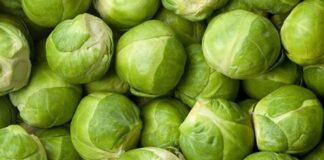 Küçük boyutuna rağmen besin değeri açısından oldukça güçlü olan Brüksel lahanası, son yıllarda sağlıklı beslenme trendleriyle birlikte daha fazla ilgi görmeye başlamıştır. Minyatür lahana görünümüne sahip olan bu sebze, özellikle kış aylarında sofralarda yerini alır. Haşlama, buharda pişirme ya da fırınlama yöntemleriyle tüketilebilen Brüksel lahanası, hem ana yemeklerin yanında hem de salatalarda kullanılabilir. Konulu bir haber görseli.