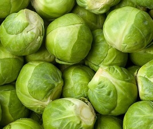 Küçük boyutuna rağmen besin değeri açısından oldukça güçlü olan Brüksel lahanası, son yıllarda sağlıklı beslenme trendleriyle birlikte daha fazla ilgi görmeye başlamıştır. Minyatür lahana görünümüne sahip olan bu sebze, özellikle kış aylarında sofralarda yerini alır. Haşlama, buharda pişirme ya da fırınlama yöntemleriyle tüketilebilen Brüksel lahanası, hem ana yemeklerin yanında hem de salatalarda kullanılabilir. Konulu bir haber görseli.