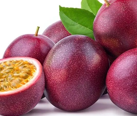 Çarkıfelek, tropikal bölgelerde yetişen ve özellikle meyveleriyle tanınan bir bitkidir. Sade olarak tüketilebildiği gibi, suyu, çayı veya çeşitli tatlılarda kullanılan Çarkıfelek, sağlığa birçok yönden katkıda bulunur. Yüksek besin değeri sayesinde enerji verir, bağışıklığı destekler ve sindirim sistemine yardımcı olur. Konulu bir haber görseli.