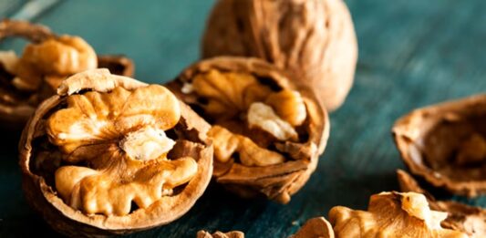 Ceviz Nedir? Ceviz’in Faydaları Nelerdir? Sağlıklı beslenme denildiğinde ilk akla gelen kuruyemişlerden biri olan ceviz, zengin besin değeri ve kendine özgü aromasıyla sofralarda önemli bir yere sahiptir. Yüzyıllardır farklı kültürlerde tüketilen ceviz, hem tek başına atıştırmalık olarak hem de tatlılardan salatalara kadar pek çok tarifte kullanılmaktadır. Özellikle doğal ve çiğ formda tüketildiğinde içerdiği değerli bileşenlerden daha fazla yararlanmak mümkündür. Konulu bir haber görseli.