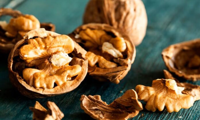 Sağlıklı beslenme denildiğinde ilk akla gelen kuruyemişlerden biri olan ceviz, zengin besin değeri ve kendine özgü aromasıyla sofralarda önemli bir yere sahiptir. Yüzyıllardır farklı kültürlerde tüketilen ceviz, hem tek başına atıştırmalık olarak hem de tatlılardan salatalara kadar pek çok tarifte kullanılmaktadır. Özellikle doğal ve çiğ formda tüketildiğinde içerdiği değerli bileşenlerden daha fazla yararlanmak mümkündür. Konulu bir haber görseli.