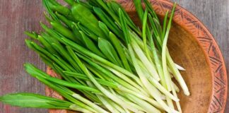 Anadolu’nun dağlık ve kırsal bölgelerinde kendiliğinden yetişen Çiriş Otu, bahar aylarının gelmesiyle birlikte pazarlarda ve sofralarda yerini almaya başlar. Yüzyıllardır hem besin hem de geleneksel destekleyici bitki olarak kullanılan bu ot, özellikle Doğu ve Güneydoğu Anadolu mutfağında önemli bir yere sahiptir. Doğal yaşam ve sağlıklı beslenmeye ilginin artmasıyla birlikte çiriş otu nedir sorusu daha sık araştırılmaktadır. Konulu bir haber görseli.