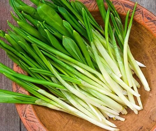 Çiriş Otu Nedir? Çiriş Otu’nun Faydaları Nelerdir? Anadolu’nun dağlık ve kırsal bölgelerinde kendiliğinden yetişen Çiriş Otu, bahar aylarının gelmesiyle birlikte pazarlarda ve sofralarda yerini almaya başlar. Yüzyıllardır hem besin hem de geleneksel destekleyici bitki olarak kullanılan bu ot, özellikle Doğu ve Güneydoğu Anadolu mutfağında önemli bir yere sahiptir. Doğal yaşam ve sağlıklı beslenmeye ilginin artmasıyla birlikte çiriş otu nedir sorusu daha sık araştırılmaktadır. Konulu bir haber görseli.