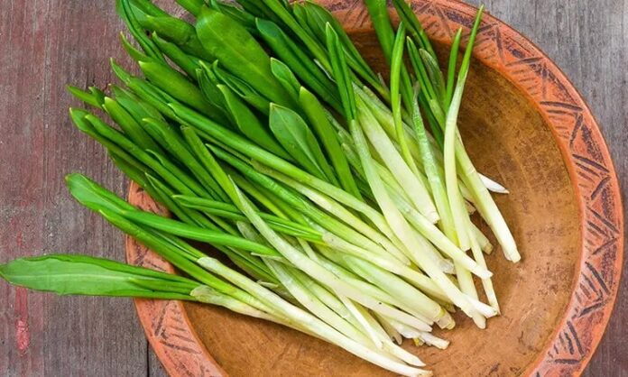 Anadolu’nun dağlık ve kırsal bölgelerinde kendiliğinden yetişen Çiriş Otu, bahar aylarının gelmesiyle birlikte pazarlarda ve sofralarda yerini almaya başlar. Yüzyıllardır hem besin hem de geleneksel destekleyici bitki olarak kullanılan bu ot, özellikle Doğu ve Güneydoğu Anadolu mutfağında önemli bir yere sahiptir. Doğal yaşam ve sağlıklı beslenmeye ilginin artmasıyla birlikte çiriş otu nedir sorusu daha sık araştırılmaktadır. Konulu bir haber görseli.