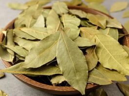 Defne Nedir? Defne’nin Faydaları Nelerdir? Akdeniz ikliminin simgelerinden biri olan Defne, hem mutfakta hem de geleneksel tıpta önemli bir yere sahiptir. Hoş kokulu yapraklarıyla bilinen bu bitki, yüzyıllardır farklı alanlarda kullanılmaktadır. Özellikle yemeklere verdiği aroma ile tanınsa da, sağlık açısından sunduğu potansiyel katkılar sayesinde de dikkat çekmektedir. Peki Defne nedir ve neden bu kadar değerli kabul edilir? Konulu bir haber görseli.