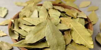 Akdeniz ikliminin simgelerinden biri olan Defne, hem mutfakta hem de geleneksel tıpta önemli bir yere sahiptir. Hoş kokulu yapraklarıyla bilinen bu bitki, yüzyıllardır farklı alanlarda kullanılmaktadır. Özellikle yemeklere verdiği aroma ile tanınsa da, sağlık açısından sunduğu potansiyel katkılar sayesinde de dikkat çekmektedir. Peki Defne nedir ve neden bu kadar değerli kabul edilir? Konulu bir haber görseli.