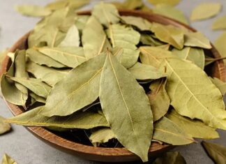 Akdeniz ikliminin simgelerinden biri olan Defne, hem mutfakta hem de geleneksel tıpta önemli bir yere sahiptir. Hoş kokulu yapraklarıyla bilinen bu bitki, yüzyıllardır farklı alanlarda kullanılmaktadır. Özellikle yemeklere verdiği aroma ile tanınsa da, sağlık açısından sunduğu potansiyel katkılar sayesinde de dikkat çekmektedir. Peki Defne nedir ve neden bu kadar değerli kabul edilir? Konulu bir haber görseli.