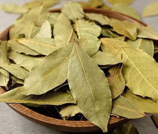 Akdeniz ikliminin simgelerinden biri olan Defne, hem mutfakta hem de geleneksel tıpta önemli bir yere sahiptir. Hoş kokulu yapraklarıyla bilinen bu bitki, yüzyıllardır farklı alanlarda kullanılmaktadır. Özellikle yemeklere verdiği aroma ile tanınsa da, sağlık açısından sunduğu potansiyel katkılar sayesinde de dikkat çekmektedir. Peki Defne nedir ve neden bu kadar değerli kabul edilir? Konulu bir haber görseli.