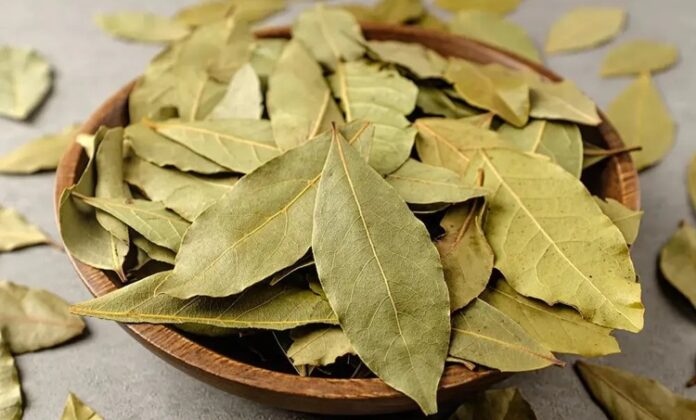 Akdeniz ikliminin simgelerinden biri olan Defne, hem mutfakta hem de geleneksel tıpta önemli bir yere sahiptir. Hoş kokulu yapraklarıyla bilinen bu bitki, yüzyıllardır farklı alanlarda kullanılmaktadır. Özellikle yemeklere verdiği aroma ile tanınsa da, sağlık açısından sunduğu potansiyel katkılar sayesinde de dikkat çekmektedir. Peki Defne nedir ve neden bu kadar değerli kabul edilir? Konulu bir haber görseli.