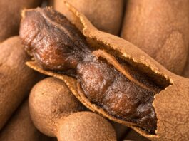 Demirhindi Nedir Demirhindi’nin Faydaları Nelerdir Yüzyıllardır hem mutfaklarda hem de geleneksel tıpta kullanılan Demirhindi, kendine has ekşi-tatlı aromasıyla dikkat çeken tropikal bir meyvedir. Anavatanı Afrika olan ve bilimsel adı Tamarindus indica şeklinde bilinen bu bitki, zamanla Asya ve Orta Doğu mutfaklarında da yaygınlaşmıştır. Osmanlı döneminde özellikle şerbet yapımında kullanılan demirhindi, günümüzde de içecek ve sos tariflerinde kendine yer bulmaktadır. Konulu bir haber görseli.