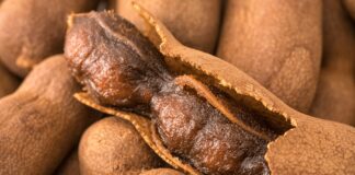 Yüzyıllardır hem mutfaklarda hem de geleneksel tıpta kullanılan Demirhindi, kendine has ekşi-tatlı aromasıyla dikkat çeken tropikal bir meyvedir. Anavatanı Afrika olan ve bilimsel adı Tamarindus indica şeklinde bilinen bu bitki, zamanla Asya ve Orta Doğu mutfaklarında da yaygınlaşmıştır. Osmanlı döneminde özellikle şerbet yapımında kullanılan demirhindi, günümüzde de içecek ve sos tariflerinde kendine yer bulmaktadır. Konulu bir haber görseli.