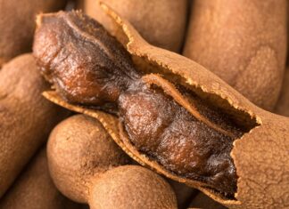 Yüzyıllardır hem mutfaklarda hem de geleneksel tıpta kullanılan Demirhindi, kendine has ekşi-tatlı aromasıyla dikkat çeken tropikal bir meyvedir. Anavatanı Afrika olan ve bilimsel adı Tamarindus indica şeklinde bilinen bu bitki, zamanla Asya ve Orta Doğu mutfaklarında da yaygınlaşmıştır. Osmanlı döneminde özellikle şerbet yapımında kullanılan demirhindi, günümüzde de içecek ve sos tariflerinde kendine yer bulmaktadır. Konulu bir haber görseli.