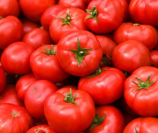 Mutfakların vazgeçilmez besinlerinden biri olan domates, hem çiğ hem de pişmiş olarak tüketilebilen, besin değeri yüksek bir sebzedir. Teknik olarak meyve sınıfında yer alsa da sofralarda sebze olarak kullanılan domates, kırmızı rengi, sulu yapısı ve kendine özgü aromasıyla dünya genelinde en çok tüketilen ürünlerden biridir. Salatalardan çorbalara, soslardan ana yemeklere kadar geniş bir kullanım alanına sahiptir. Konulu bir haber görseli.