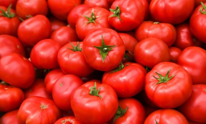 Mutfakların vazgeçilmez besinlerinden biri olan domates, hem çiğ hem de pişmiş olarak tüketilebilen, besin değeri yüksek bir sebzedir. Teknik olarak meyve sınıfında yer alsa da sofralarda sebze olarak kullanılan domates, kırmızı rengi, sulu yapısı ve kendine özgü aromasıyla dünya genelinde en çok tüketilen ürünlerden biridir. Salatalardan çorbalara, soslardan ana yemeklere kadar geniş bir kullanım alanına sahiptir. Konulu bir haber görseli.