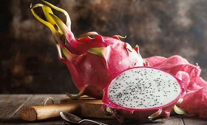 Ejder Meyvesi Nedir Ejder Meyvesi'nin Faydaları Nelerdir Son yıllarda sağlıklı beslenme trendlerinin yükselmesiyle birlikte egzotik meyveler sofralarda daha fazla yer almaya başladı. Bu meyvelerden biri olan Ejder Meyvesi, dikkat çekici görüntüsü ve besin değeriyle öne çıkıyor. Halk arasında pitaya olarak da bilinen bu meyve, kaktüsgiller familyasına aittir ve bilimsel olarak en yaygın türü Selenicereus undatus adıyla bilinmektedir. Anavatanı Orta Amerika olan ejder meyvesi, günümüzde Vietnam, Tayland ve Meksika gibi ülkelerde yoğun olarak yetiştirilmektedir. Konulu bir haber görseli.