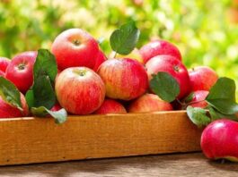 Günlük hayatta en sık tüketilen meyvelerden biri olan Elma, hem lezzeti hem de besin değeriyle sağlıklı beslenmenin temel taşlarından biridir. Farklı renk ve aromalara sahip çeşitleri bulunan bu meyve, yılın büyük bölümünde kolayca erişilebilir olmasıyla da öne çıkar. Tatlıdan ekşiye değişen aroması sayesinde her damak zevkine hitap eden Elma nedir sorusu, aslında basit gibi görünse de içerdiği zengin besin değerleriyle oldukça kapsamlı bir yanıt gerektirir. Konulu bir haber görseli.