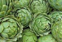 Akdeniz mutfağının en özel sebzelerinden biri olan enginar, hem lezzeti hem de sağlık açısından sunduğu katkılarla dikkat çeker. Kendine özgü yapısı ve hafif aromasıyla bilinen enginar, özellikle zeytinyağlı yemeklerde sıkça tercih edilir. Mevsimsel bir sebze olan bu bitki, ilkbahar aylarında taze olarak tüketildiğinde besin değerinden en yüksek düzeyde fayda sağlanabilir. Düşük kalorili yapısı ve zengin besin değeri sayesinde sağlıklı beslenme programlarında önemli bir yer edinmiştir. Konulu bir haber görseli.