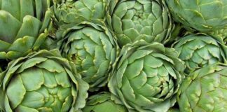 Akdeniz mutfağının en özel sebzelerinden biri olan enginar, hem lezzeti hem de sağlık açısından sunduğu katkılarla dikkat çeker. Kendine özgü yapısı ve hafif aromasıyla bilinen enginar, özellikle zeytinyağlı yemeklerde sıkça tercih edilir. Mevsimsel bir sebze olan bu bitki, ilkbahar aylarında taze olarak tüketildiğinde besin değerinden en yüksek düzeyde fayda sağlanabilir. Düşük kalorili yapısı ve zengin besin değeri sayesinde sağlıklı beslenme programlarında önemli bir yer edinmiştir. Konulu bir haber görseli.