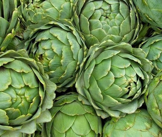 Akdeniz mutfağının en özel sebzelerinden biri olan enginar, hem lezzeti hem de sağlık açısından sunduğu katkılarla dikkat çeker. Kendine özgü yapısı ve hafif aromasıyla bilinen enginar, özellikle zeytinyağlı yemeklerde sıkça tercih edilir. Mevsimsel bir sebze olan bu bitki, ilkbahar aylarında taze olarak tüketildiğinde besin değerinden en yüksek düzeyde fayda sağlanabilir. Düşük kalorili yapısı ve zengin besin değeri sayesinde sağlıklı beslenme programlarında önemli bir yer edinmiştir. Konulu bir haber görseli.