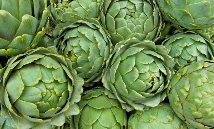 Akdeniz mutfağının en özel sebzelerinden biri olan enginar, hem lezzeti hem de sağlık açısından sunduğu katkılarla dikkat çeker. Kendine özgü yapısı ve hafif aromasıyla bilinen enginar, özellikle zeytinyağlı yemeklerde sıkça tercih edilir. Mevsimsel bir sebze olan bu bitki, ilkbahar aylarında taze olarak tüketildiğinde besin değerinden en yüksek düzeyde fayda sağlanabilir. Düşük kalorili yapısı ve zengin besin değeri sayesinde sağlıklı beslenme programlarında önemli bir yer edinmiştir. Konulu bir haber görseli.