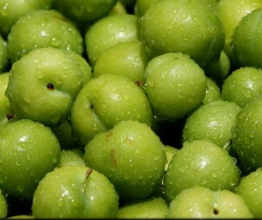 İlkbahar ve yaz aylarının en sevilen meyvelerinden biri olan erik, hem ekşi hem de tatlı çeşitleriyle sofralarda önemli bir yer tutar. Bilimsel adı Prunus domestica olan bu meyve, gülgiller familyasına aittir ve dünya genelinde yaygın olarak yetiştirilmektedir. Türkiye’de özellikle yeşil erik ilkbaharın habercisi olarak görülürken, mor ve kırmızı çeşitleri yaz aylarında olgunlaşarak tüketilir. Konulu bir haber görseli.