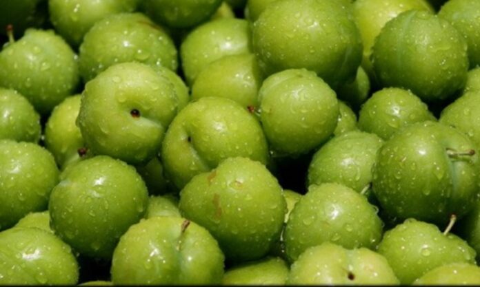 İlkbahar ve yaz aylarının en sevilen meyvelerinden biri olan erik, hem ekşi hem de tatlı çeşitleriyle sofralarda önemli bir yer tutar. Bilimsel adı Prunus domestica olan bu meyve, gülgiller familyasına aittir ve dünya genelinde yaygın olarak yetiştirilmektedir. Türkiye’de özellikle yeşil erik ilkbaharın habercisi olarak görülürken, mor ve kırmızı çeşitleri yaz aylarında olgunlaşarak tüketilir. Konulu bir haber görseli.