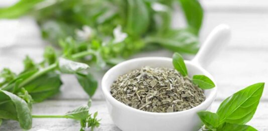 Fesleğen Nedir? Fesleğen’in Faydaları Nelerdir? Akdeniz mutfağının vazgeçilmez aromatik bitkilerinden biri olan Fesleğen, hem hoş kokusu hem de sağlık üzerindeki potansiyel etkileriyle dikkat çekmektedir. Taze ya da kuru olarak tüketilebilen bu bitki, özellikle yaz aylarında sofralarda sıkça yer alır. Sadece lezzet verici bir baharat değil, aynı zamanda geleneksel tıpta da kullanılan değerli bir bitkidir. Peki Fesleğen nedir ve neden bu kadar yaygın şekilde tercih edilmektedir? Konulu bir haber görseli.